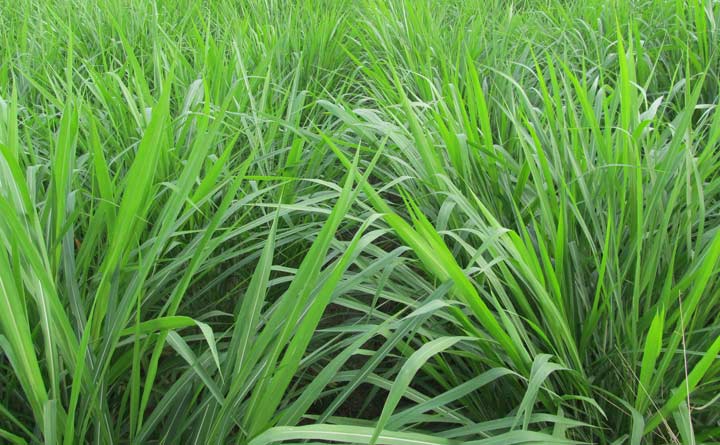 1468634789110836.jpg 1468634789110836.jpg