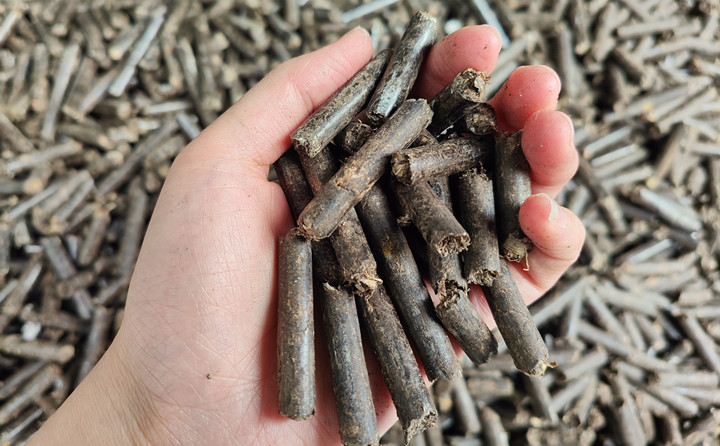 木屑顆粒機生物質顆粒助力綠色農(nóng)業(yè)高質量發(fā)展