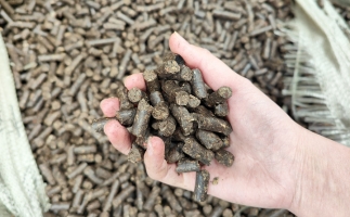 木屑顆粒機將秸稈變廢為寶，降碳節能一舉兩得