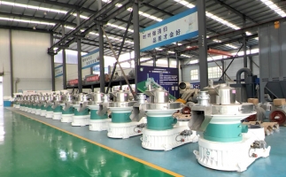 新手開顆粒廠，該選小型還是大型木屑顆粒機？